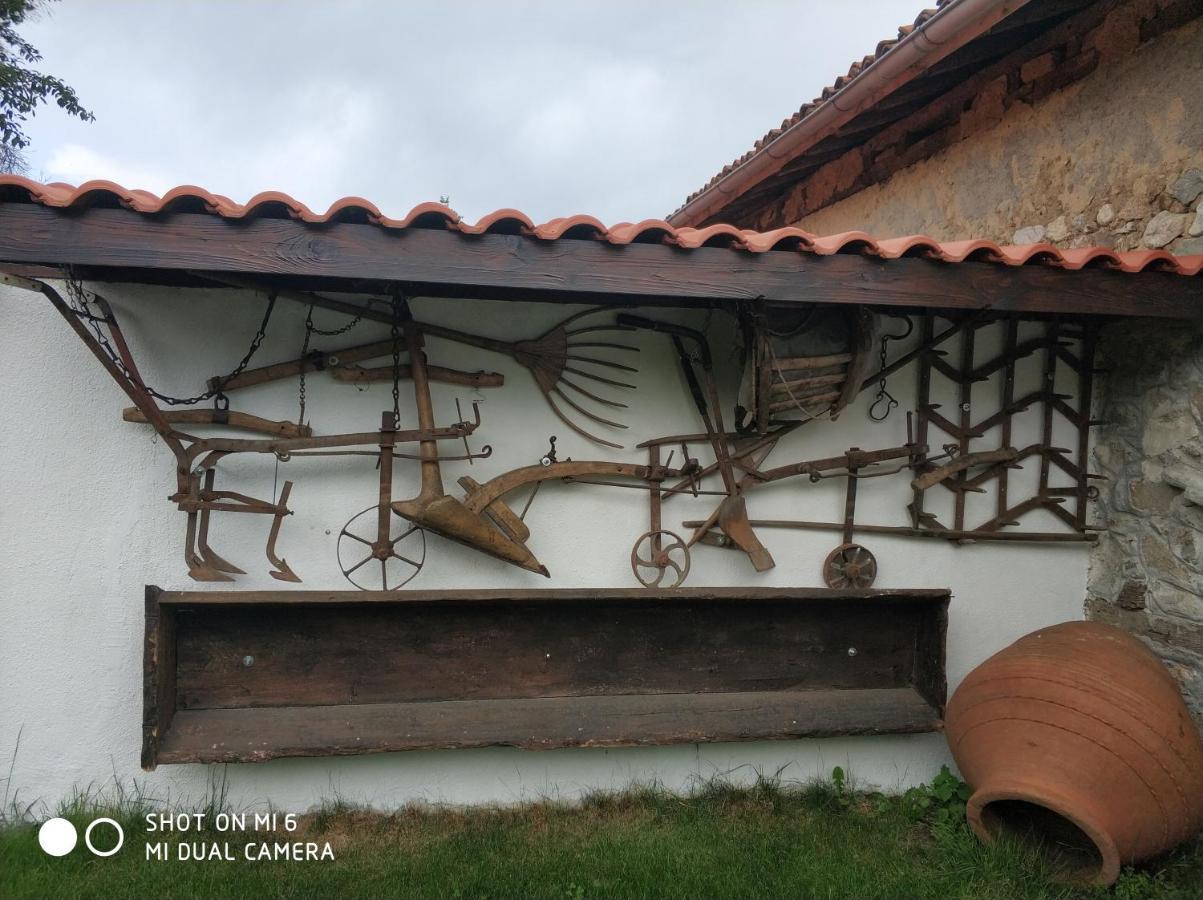 ホテル Papanovata House Enina エクステリア 写真