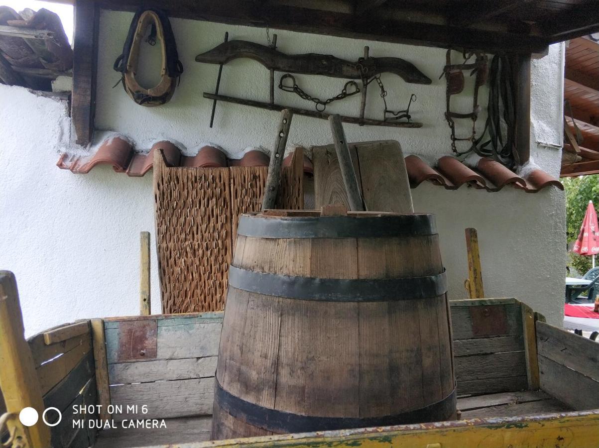 ホテル Papanovata House Enina エクステリア 写真