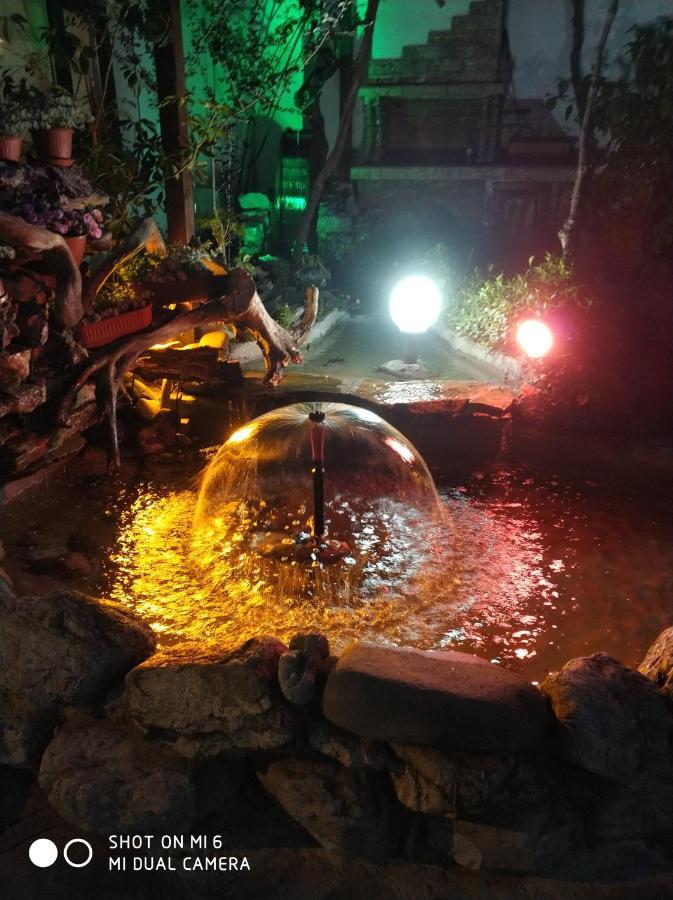ホテル Papanovata House Enina エクステリア 写真